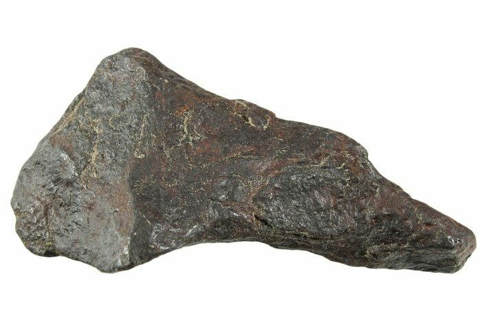 Canyon Diablo Iron Meteorite ( g) - Arizona #356098